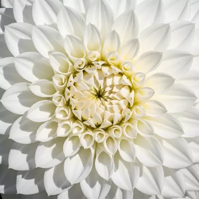 Imagen PNG para descargar